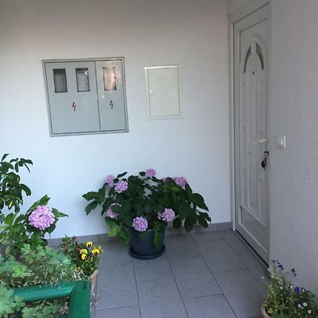Masa Apartment Sibenik Bagian luar foto